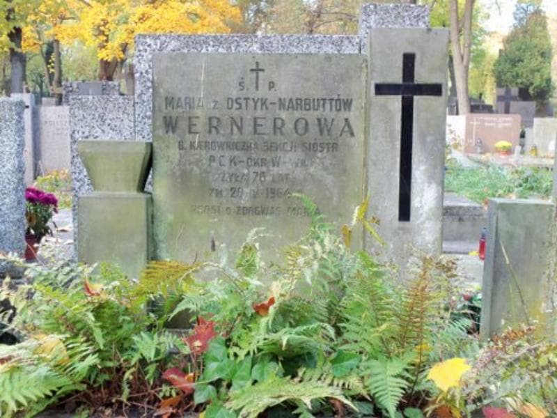 Zdjęcie grobu Henryk Ostyk - Narbutt (2)
