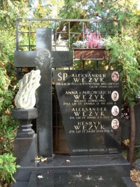 Zdjęcie grobu Aleksander Wężyk (2)