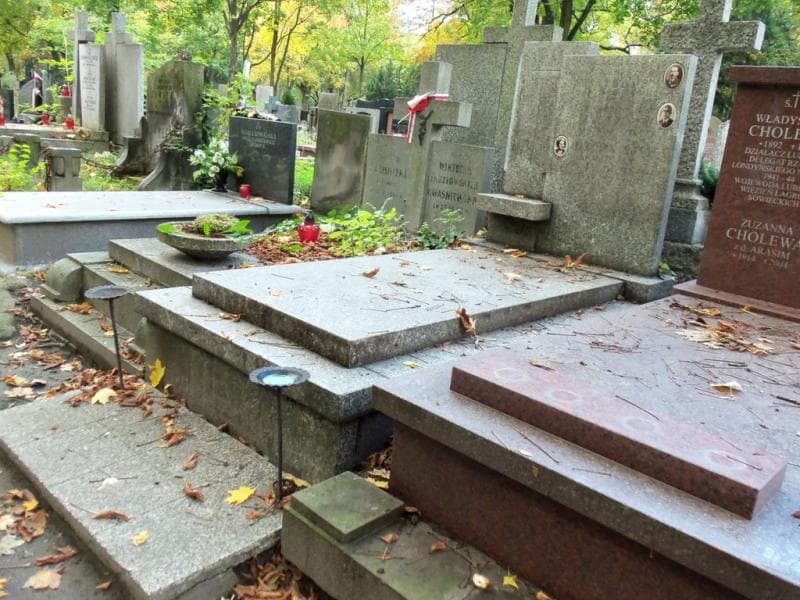 Zdjęcie grobu Feliks Jagodziński (1)