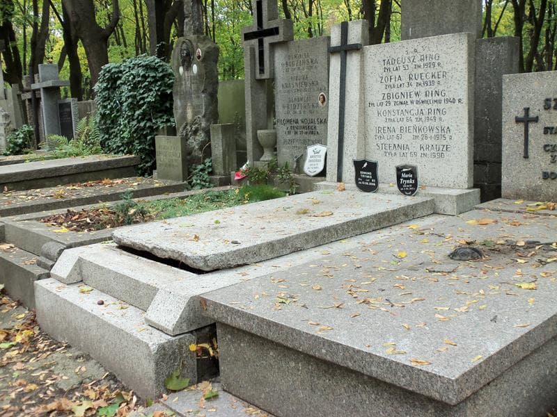Zdjęcie grobu Zofia Ruecker (1)