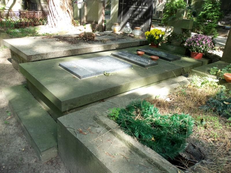 Zdjęcie grobu Tadeusz Dominik Binder-Sokołowski (1)