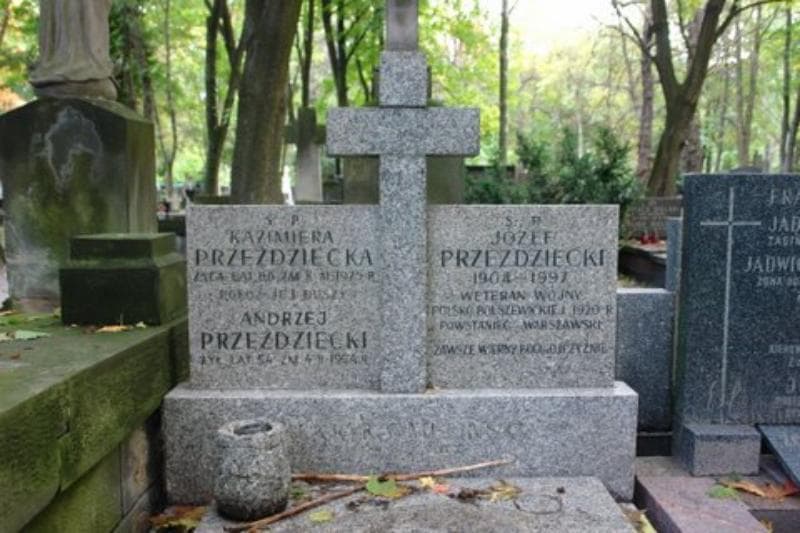 Zdjęcie grobu Henryk Omeliński (2)