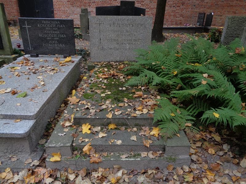 Zdjęcie grobu Eugenia Przeorska (1)