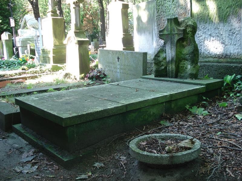 Zdjęcie grobu Imisław H. Rozbicki (1)