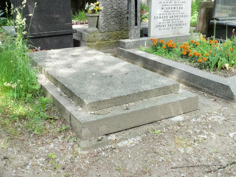 Zdjęcie grobu Stanisław Borowy (1)