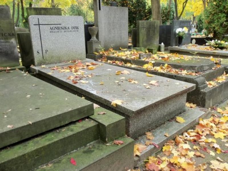 Zdjęcie grobu Agnieszka Dzik (1)