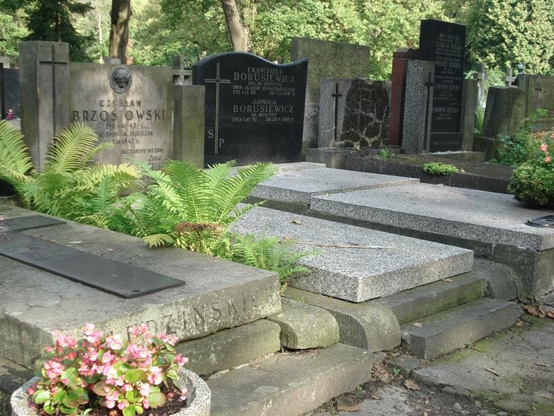 Zdjęcie grobu Czesław Brzostowski (1)