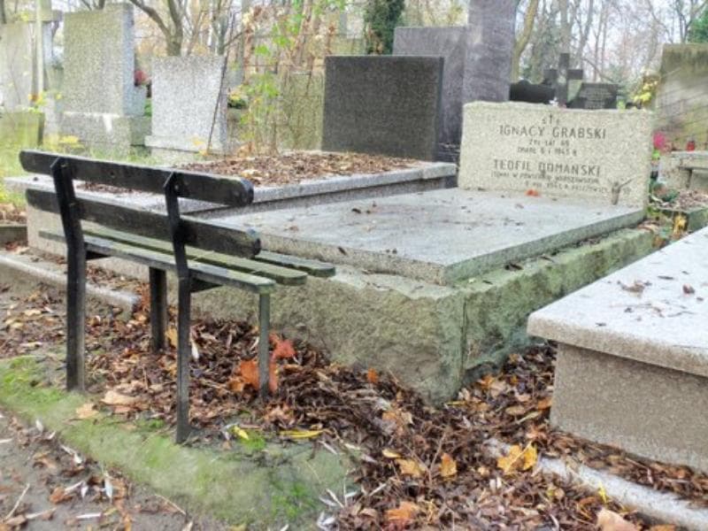 Zdjęcie grobu Teofil Domański (1)