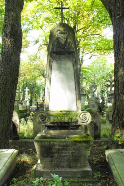 Zdjęcie grobu Józef Lochman (2)