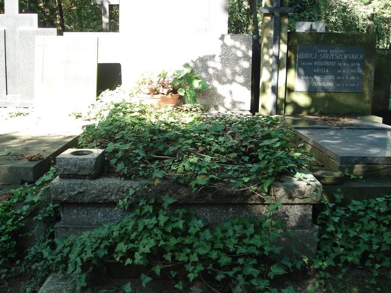 Zdjęcie grobu: Janina Lubińska
