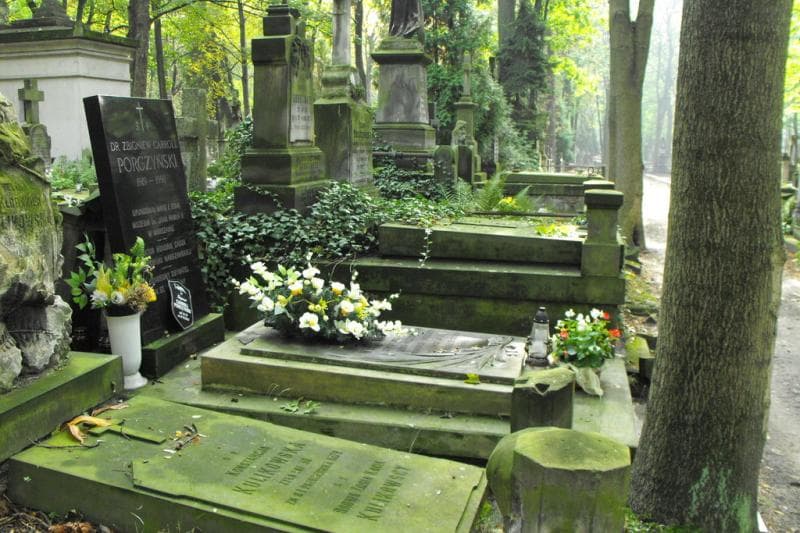 Zdjęcie grobu Apolonia Butkiewicz (1)