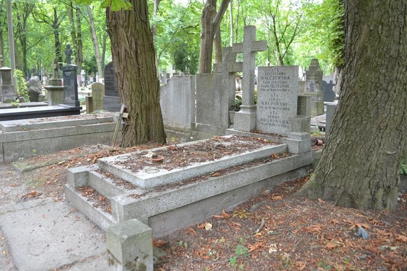 Zdjęcie grobu: Stanisława Walczewska