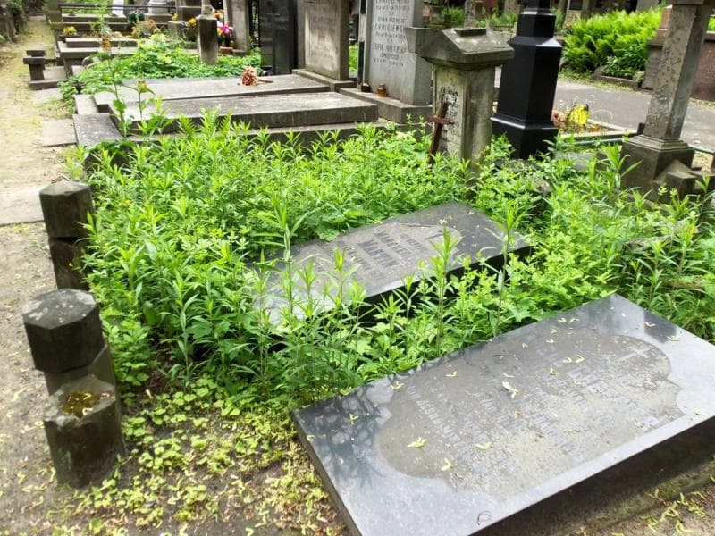 Zdjęcie grobu Marguerite Martin (1)