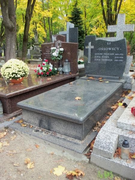 Zdjęcie grobu Mieczysław Ossowski (1)