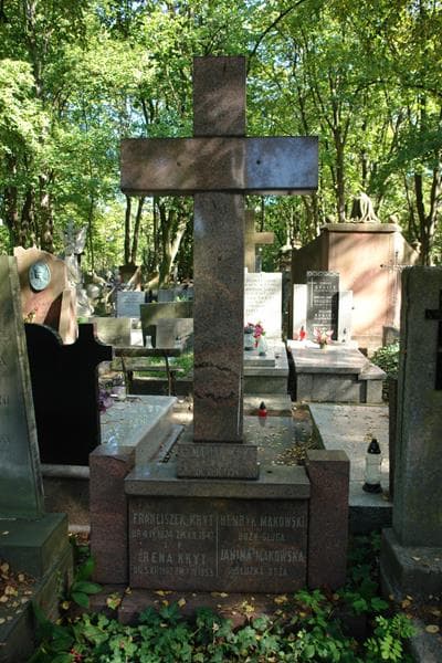 Zdjęcie grobu Irena Kryt (2)