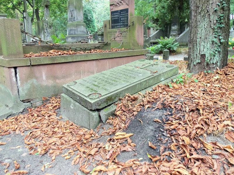 Zdjęcie grobu Bronisława Jatowska (1)