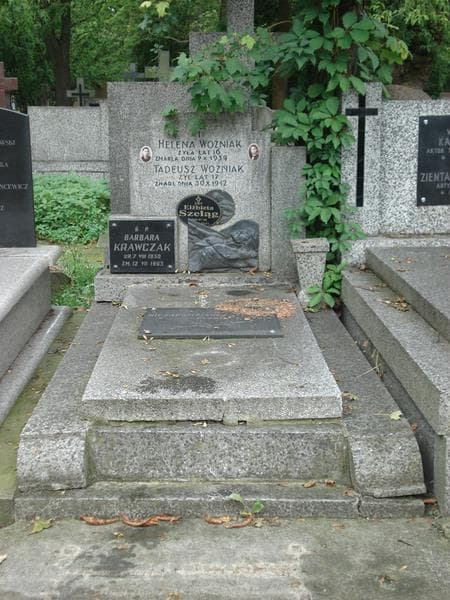 Zdjęcie grobu: Tadeusz Woźniak