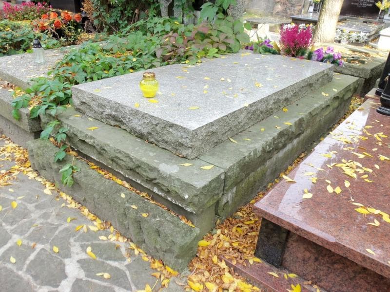 Zdjęcie grobu Roman Tochowicz (1)