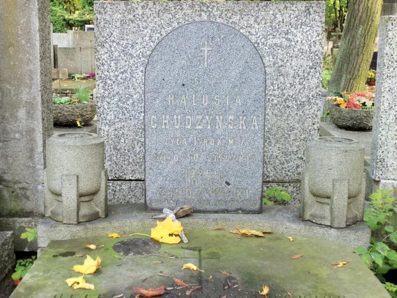 Zdjęcie grobu Halusia Chudzyńska (2)