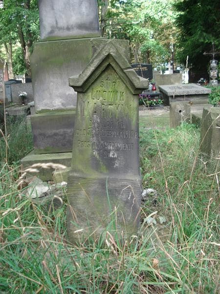 Zdjęcie grobu Ludwik Martyni (1)