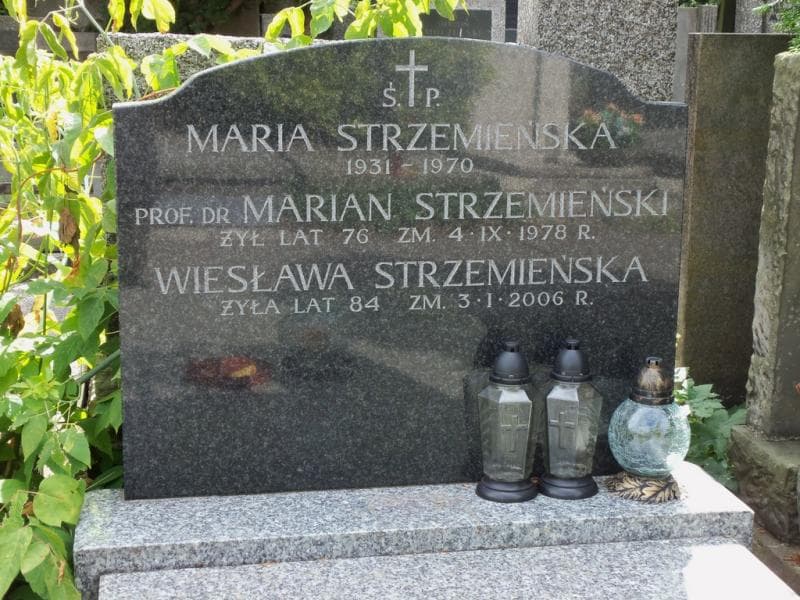Zdjęcie grobu Marian Strzemieński (2)