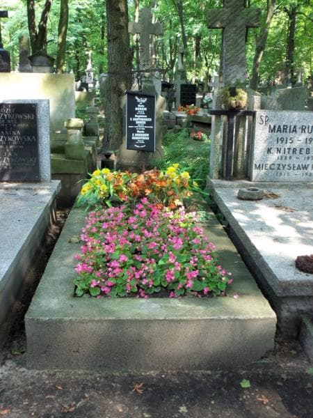 Zdjęcie grobu: Wanda Seredyńska
