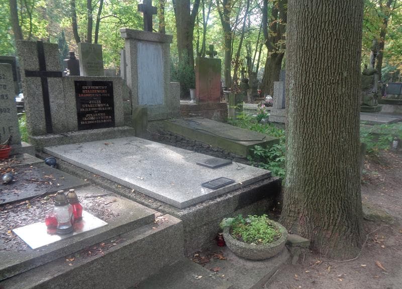 Zdjęcie grobu: Julianna Słomczyńska