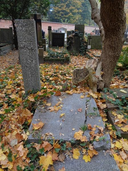 Zdjęcie grobu Anonim (2)