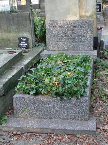 Zdjęcie grobu Maria Brzozowska (1)