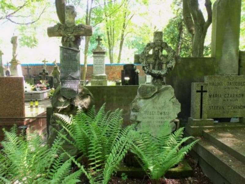Zdjęcie grobu Feliks Jackowski (2)