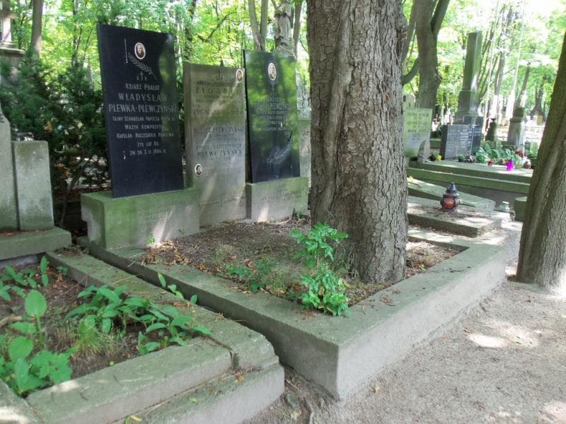 Zdjęcie grobu: Emilia Plewczyńska