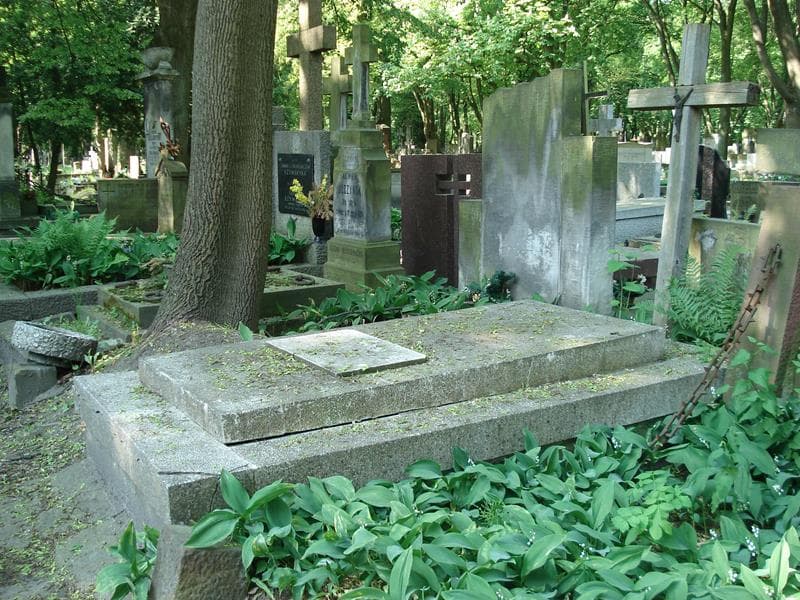 Zdjęcie grobu Michał Michałowski (2)