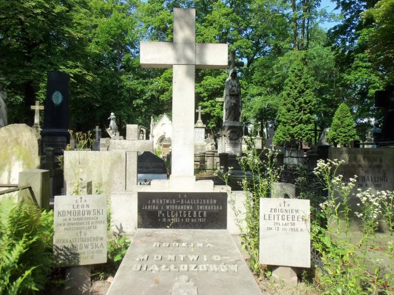 Zdjęcie grobu Zbigniew Leitgeber (2)