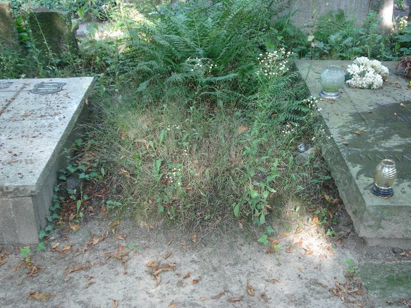 Zdjęcie grobu: Pole Grobowe