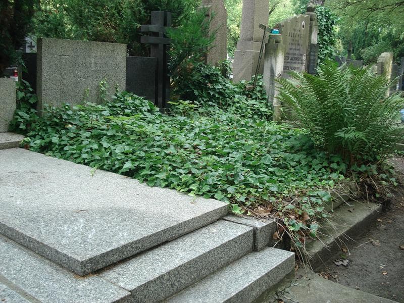 Zdjęcie grobu Janina Bartczak (1)