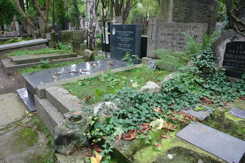 Zdjęcie grobu: Jan Marceli Bolecki