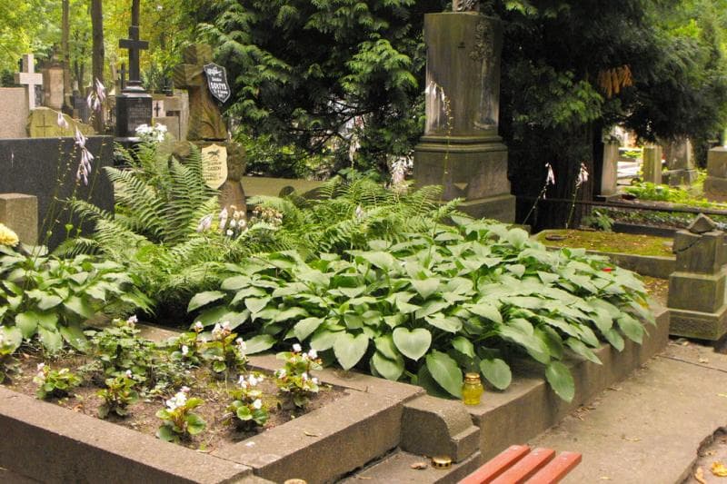 Zdjęcie grobu Władysław Gąsecki (1)