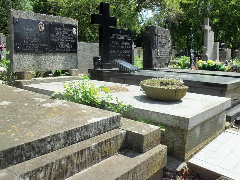 Zdjęcie grobu Wanda Dawidziuk Lizanowicz (1)