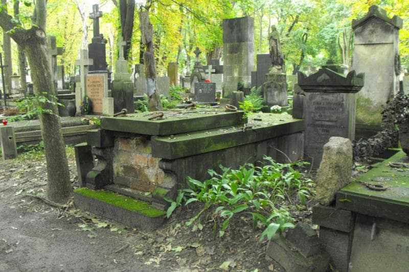 Zdjęcie grobu Jan Jarzyński (1)