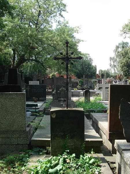 Zdjęcie grobu Leontyna Cybulska (2)