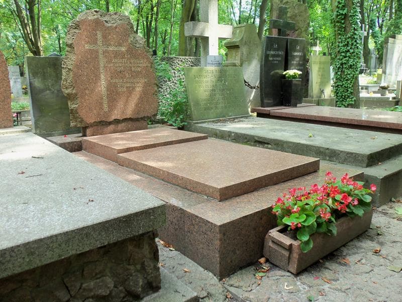 Zdjęcie grobu Wanda Strumiłłowa (1)