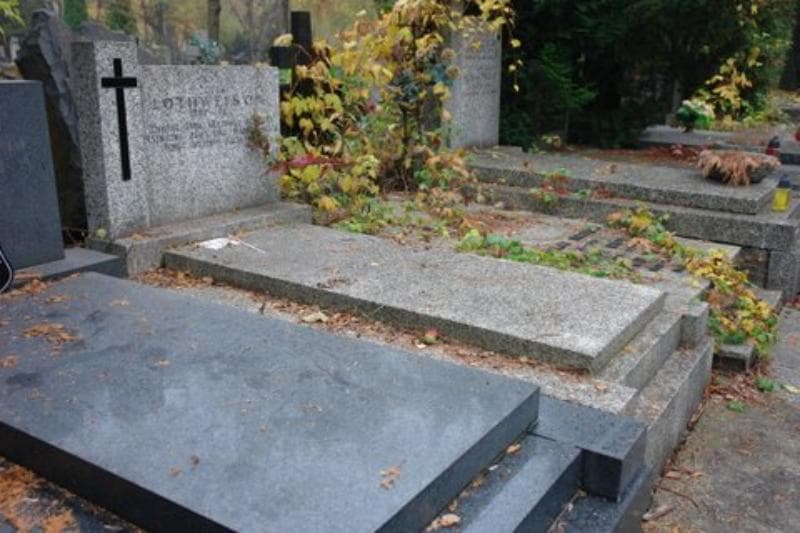 Zdjęcie grobu Zofia Lothweison (1)