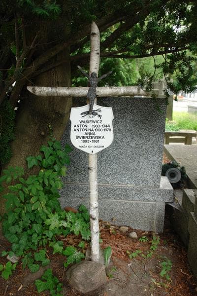Zdjęcie grobu Antoni Wąsiewicz (2)