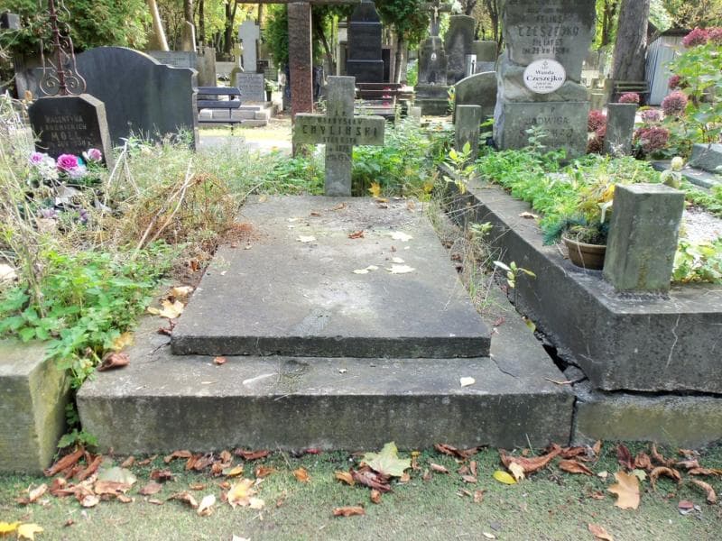 Zdjęcie grobu: Władysław Chyliński
