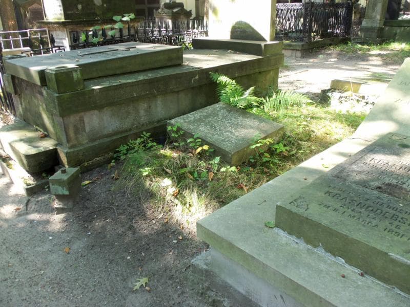 Zdjęcie grobu Józef Wołowski (1)