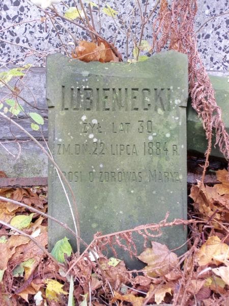 Zdjęcie grobu ... Lubieniecki (2)