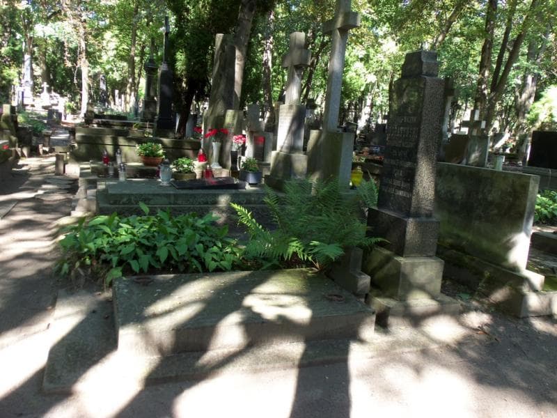 Zdjęcie grobu Wacław Boratyński (1)