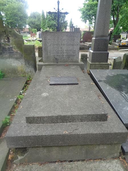 Zdjęcie grobu Ludwika Duchińska (1)