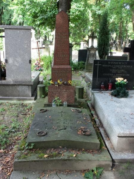 Zdjęcie grobu: Tadeusz Nieczuja - Ślaski