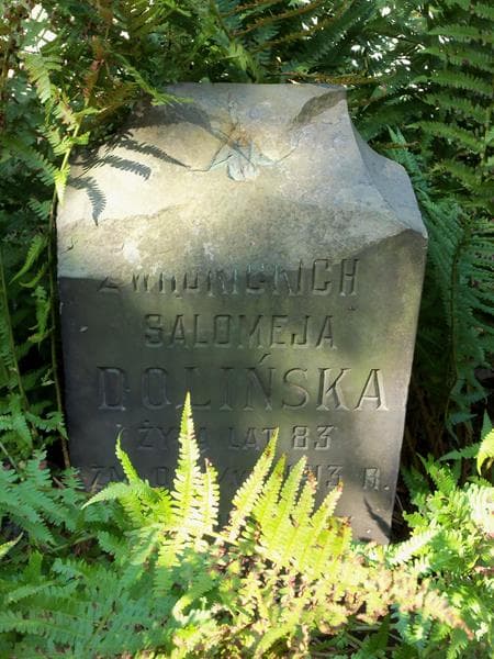 Zdjęcie grobu Salomeja Dolińska (2)
